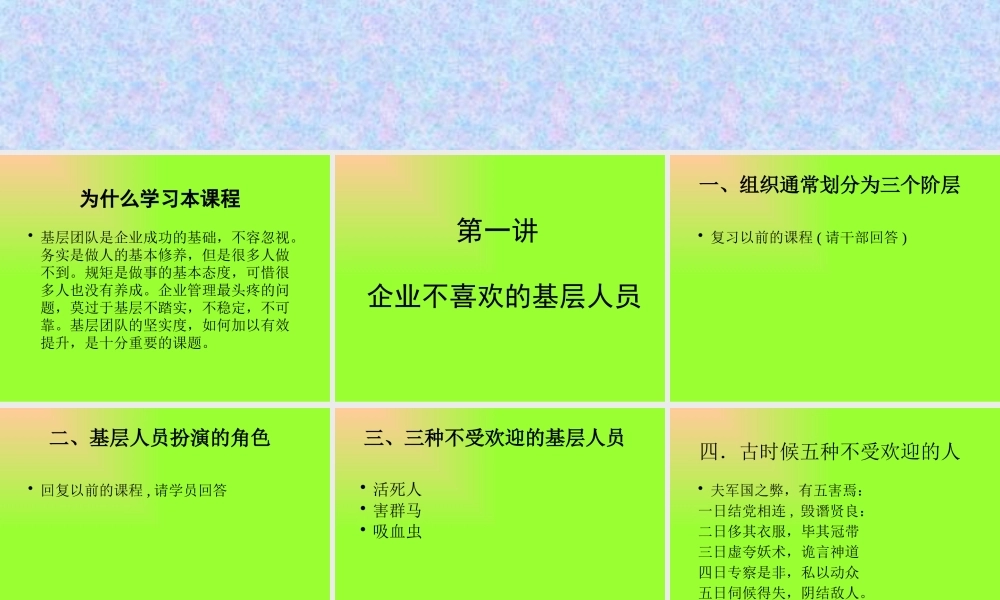如何打造坚实的基层团队(ppt 24页)