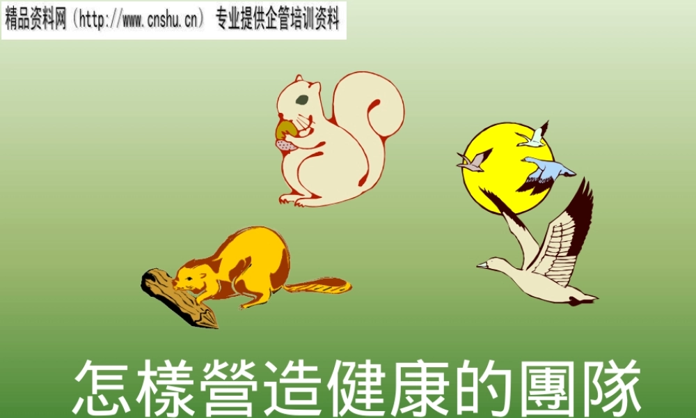 如何打造健康的团队