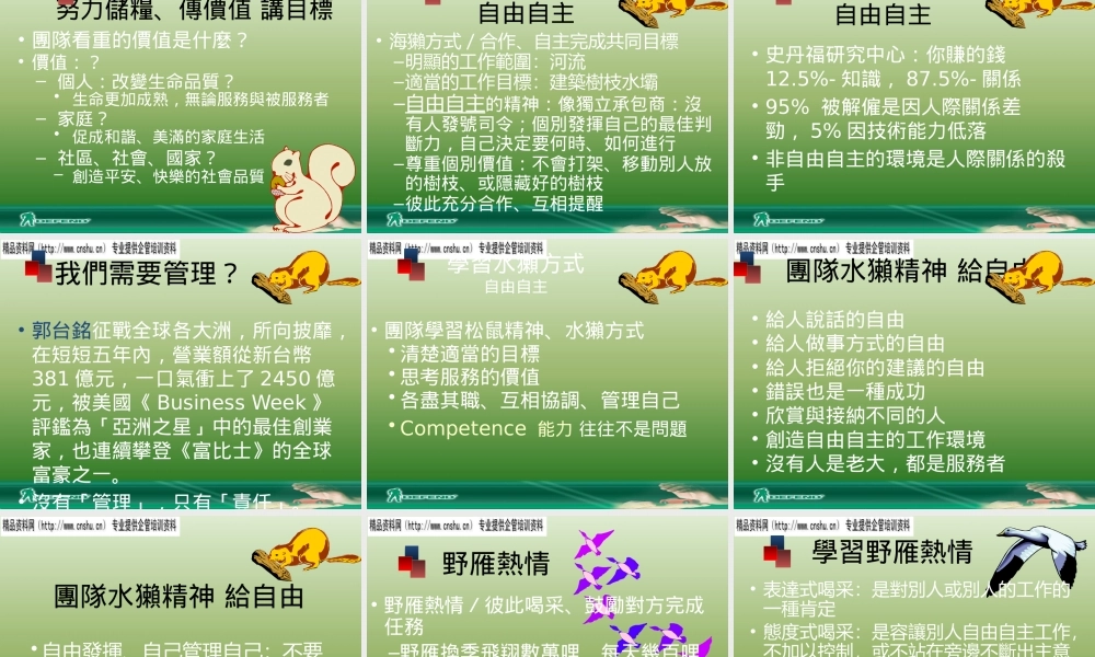 如何打造健康的团队