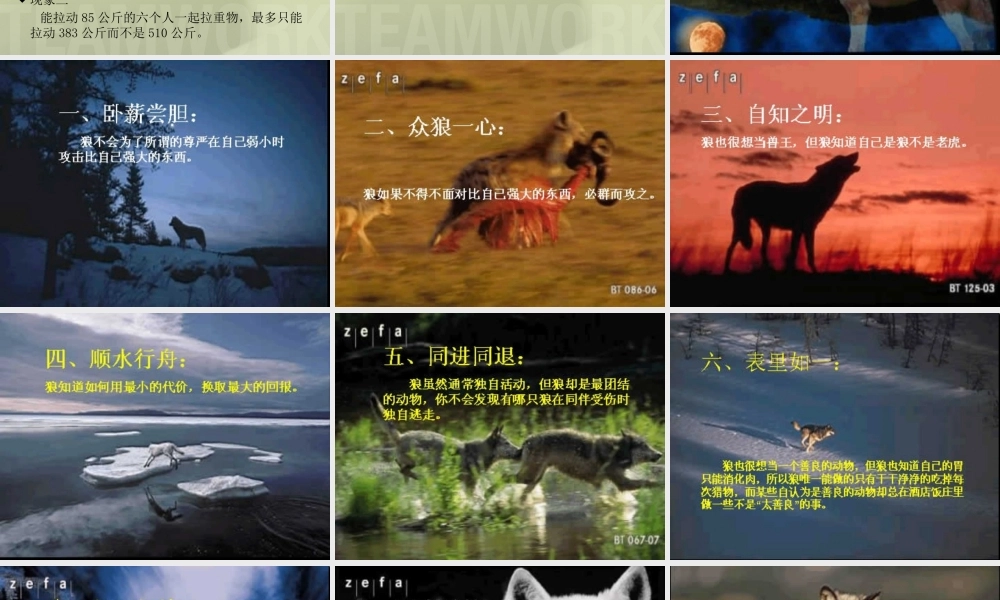 如何打造金牌团队(ppt 页)