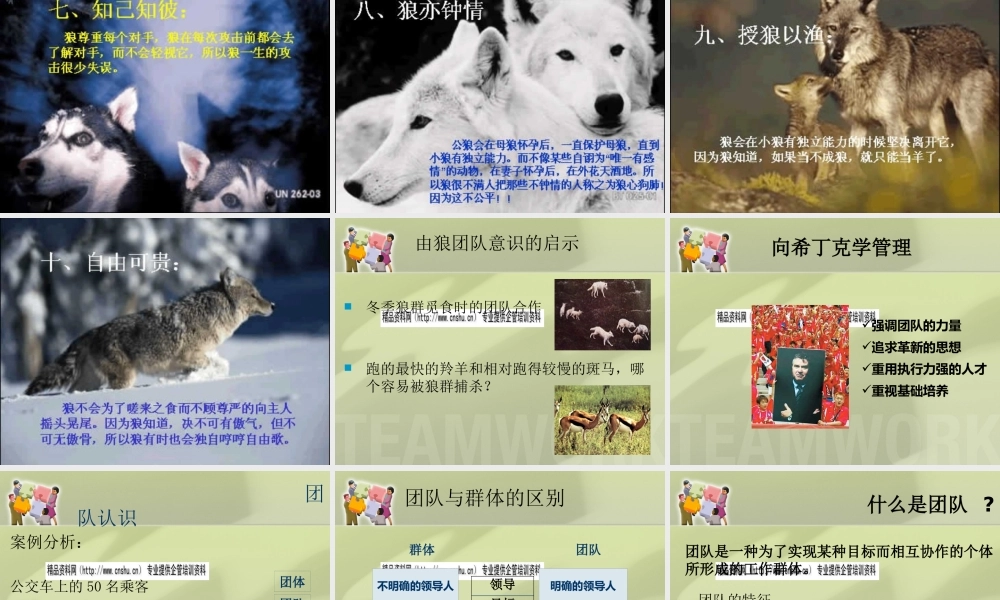 如何打造金牌团队(ppt 页)