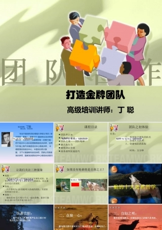 如何打造金牌团队(ppt 页)