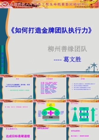 如何打造金牌团队执行力(PPT 101页)