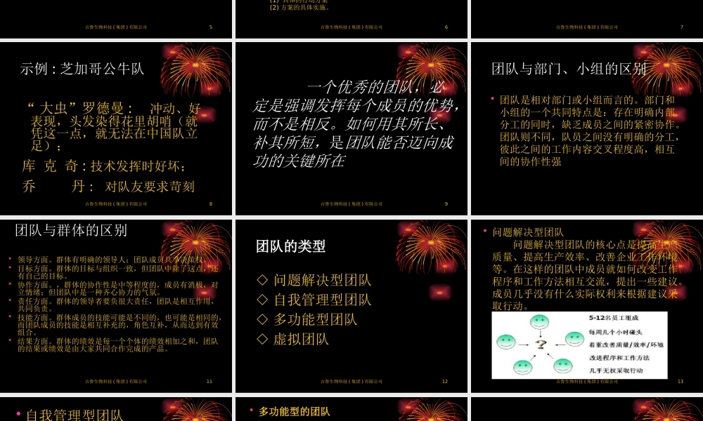 如何打造精英团队(PPT 51页)1