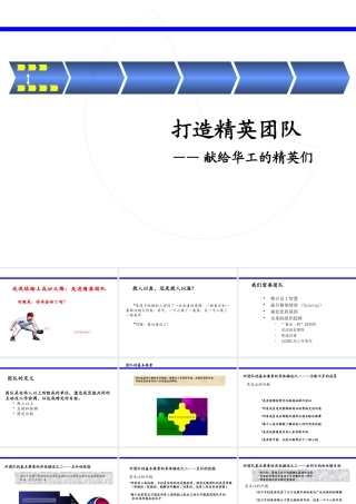 如何打造精英团队(PPT 页)