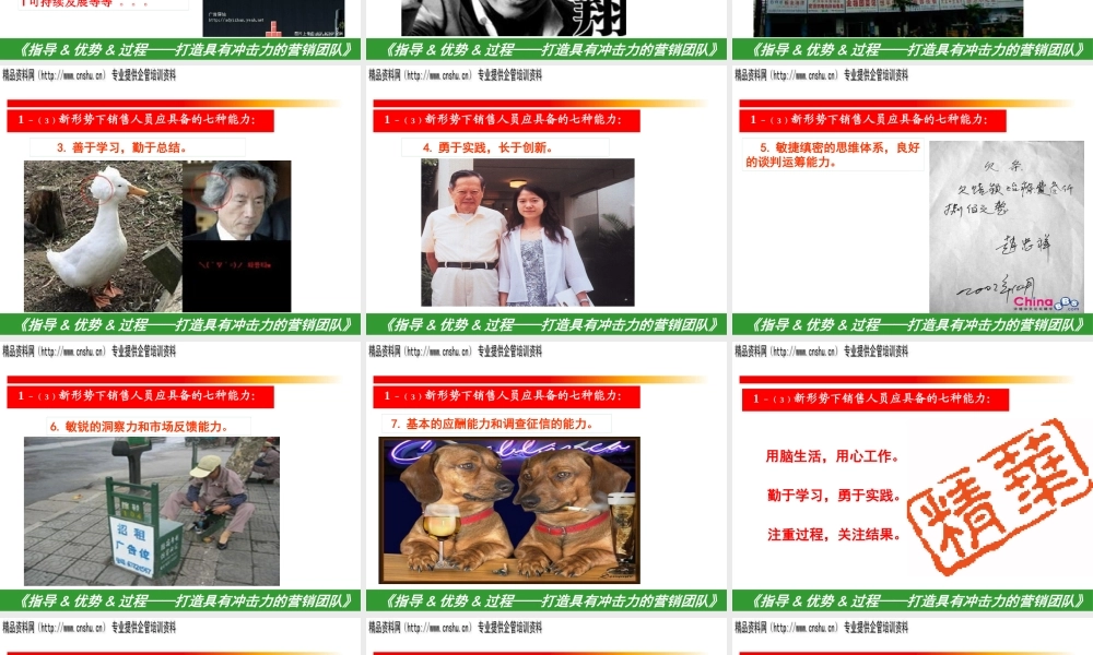如何打造具有冲击力的营销团队(ppt 45页)