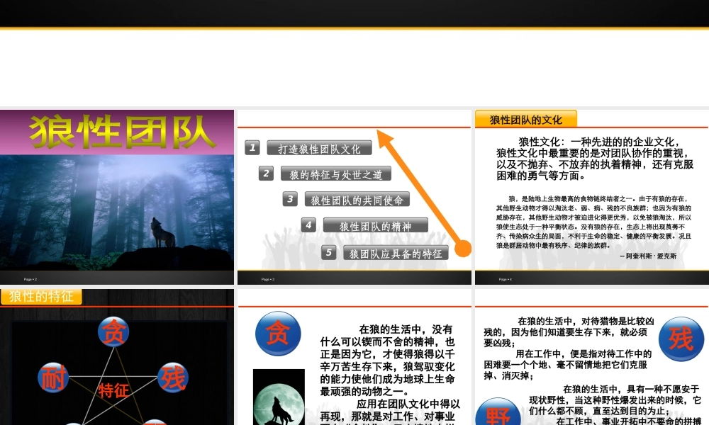 如何打造狼性团队(PPT 35页)