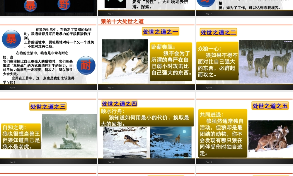 如何打造狼性团队(PPT 35页)