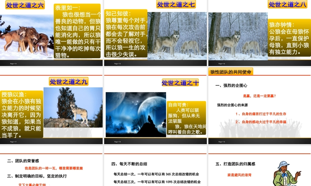 如何打造狼性团队(PPT 35页)
