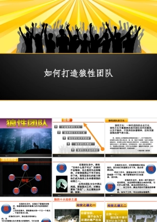 如何打造狼性团队(PPT 35页)3