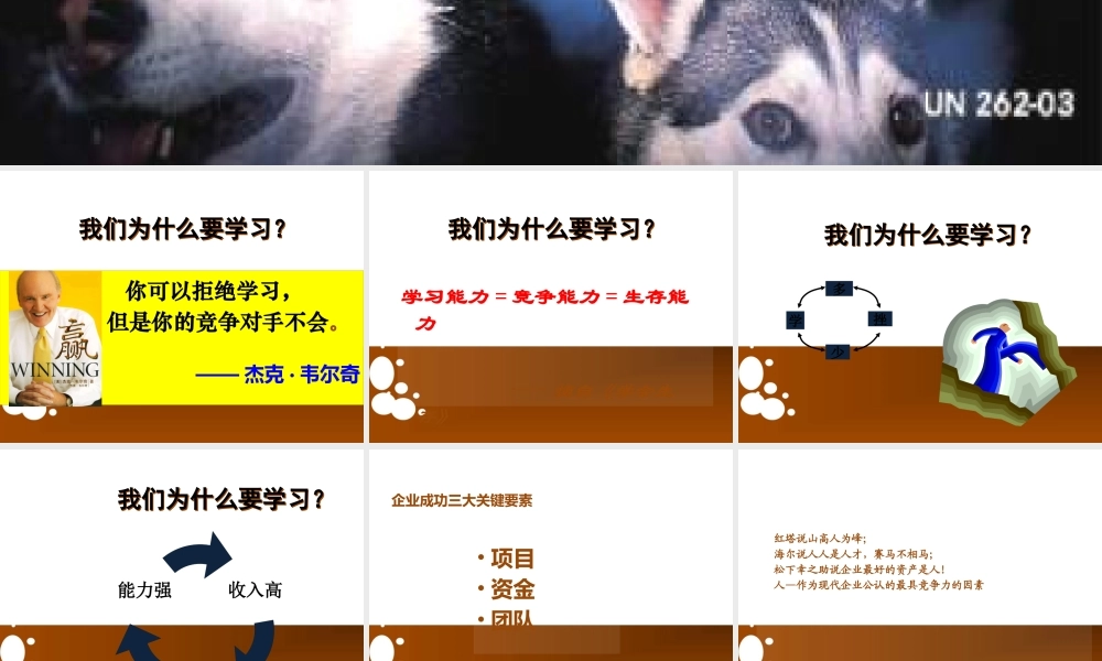如何打造狼性团队(PPT 39页)
