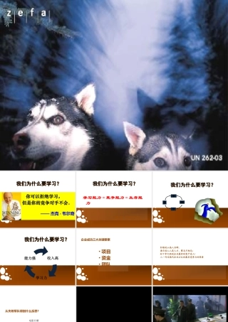 如何打造狼性团队(PPT 39页)