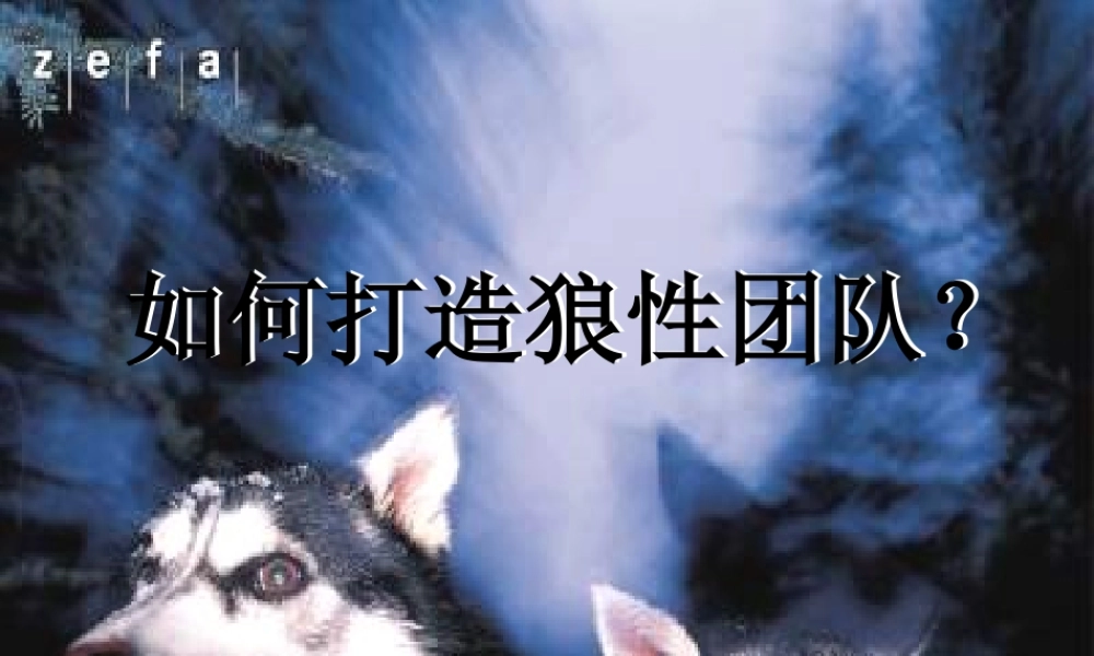 如何打造狼性团队(PPT 页)