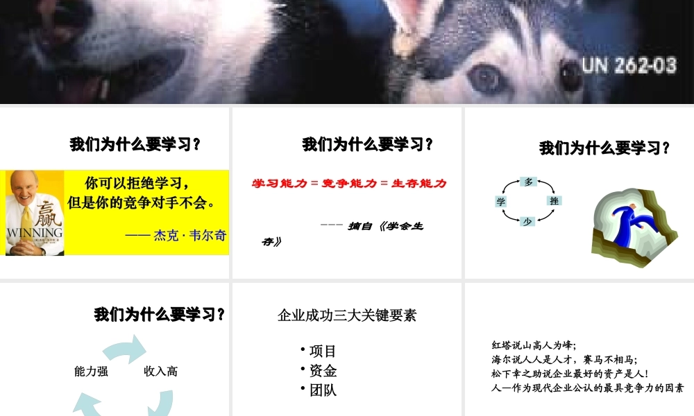 如何打造狼性团队(PPT 页)