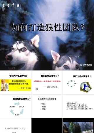 如何打造狼性团队(PPT 页)