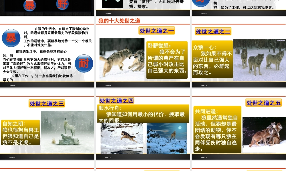 如何打造狼性团队