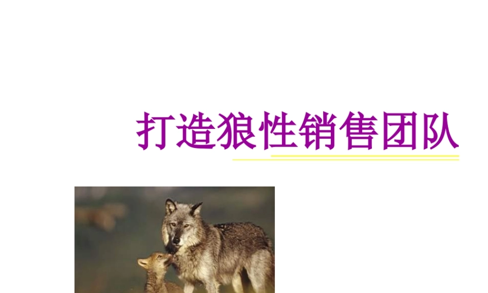 如何打造狼性销售团队(PPT 40页)