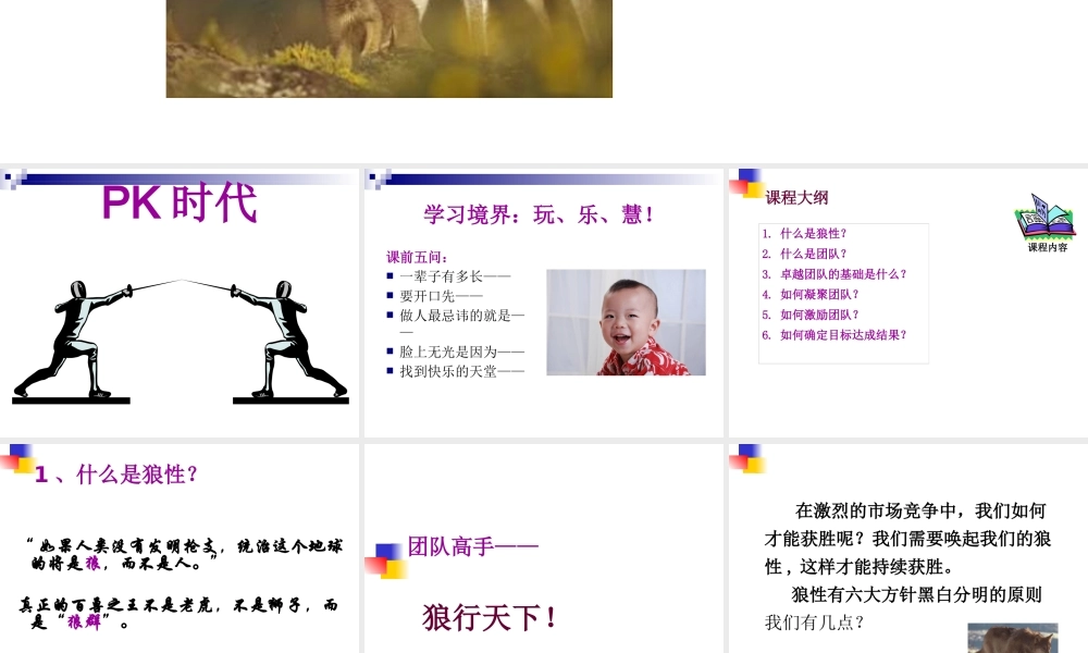 如何打造狼性销售团队(PPT 40页)