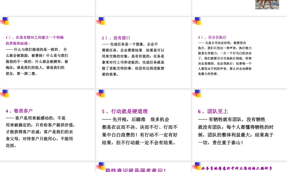 如何打造狼性销售团队(PPT 40页)