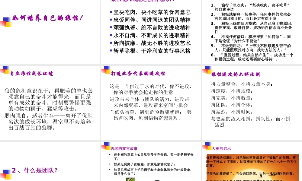 如何打造狼性销售团队(PPT 40页)