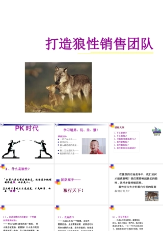 如何打造狼性销售团队(PPT 40页)