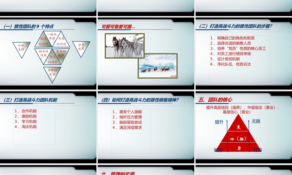 如何打造狼性销售团队(PPT 61页)