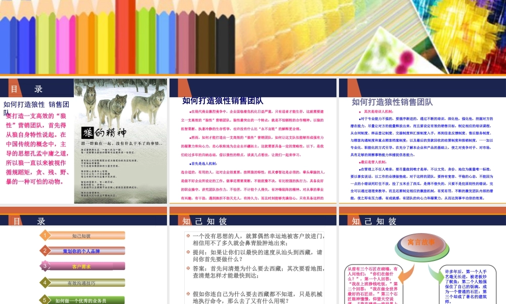 如何打造狼性销售团队（PPT48页)