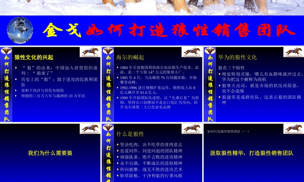 如何打造狼性销售团队