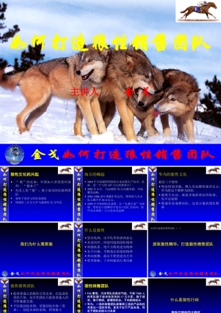 如何打造狼性销售团队