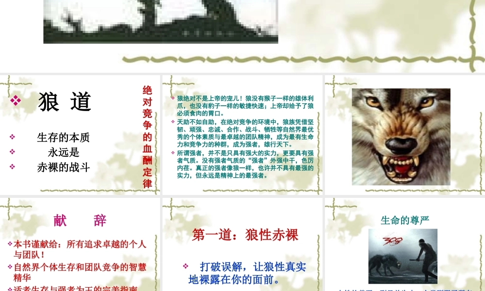 如何打造狼一样的团队