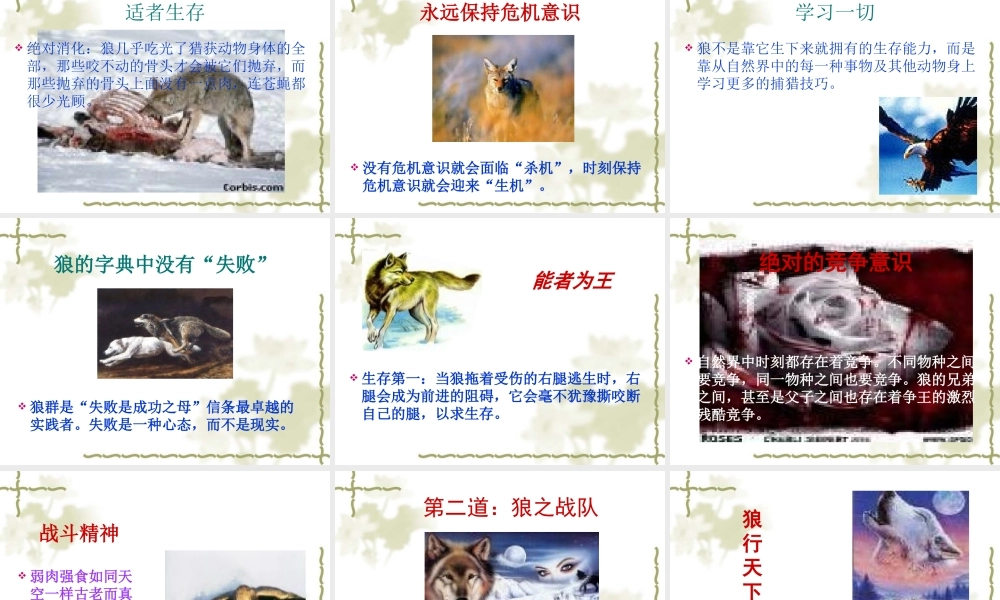 如何打造狼一样的团队