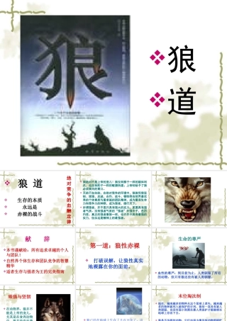 如何打造狼一样的团队