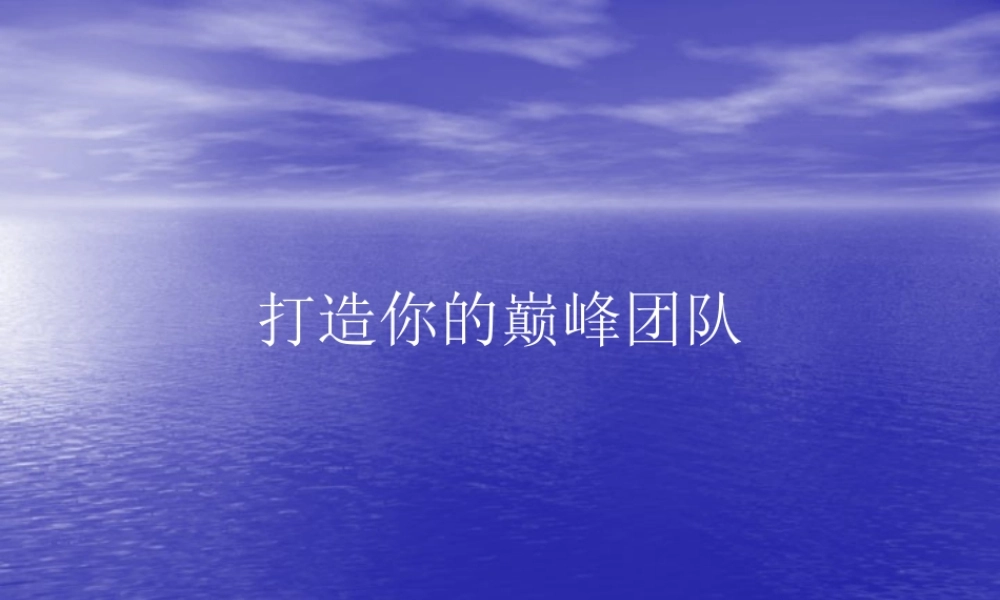 如何打造你的巅峰团队(PPT 页)