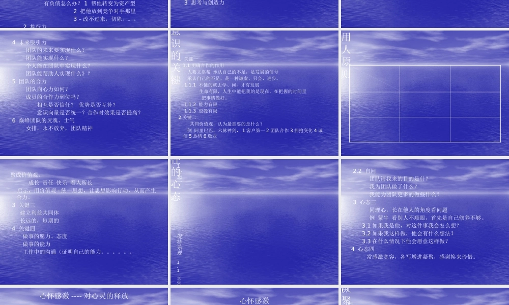 如何打造你的巅峰团队(PPT 页)