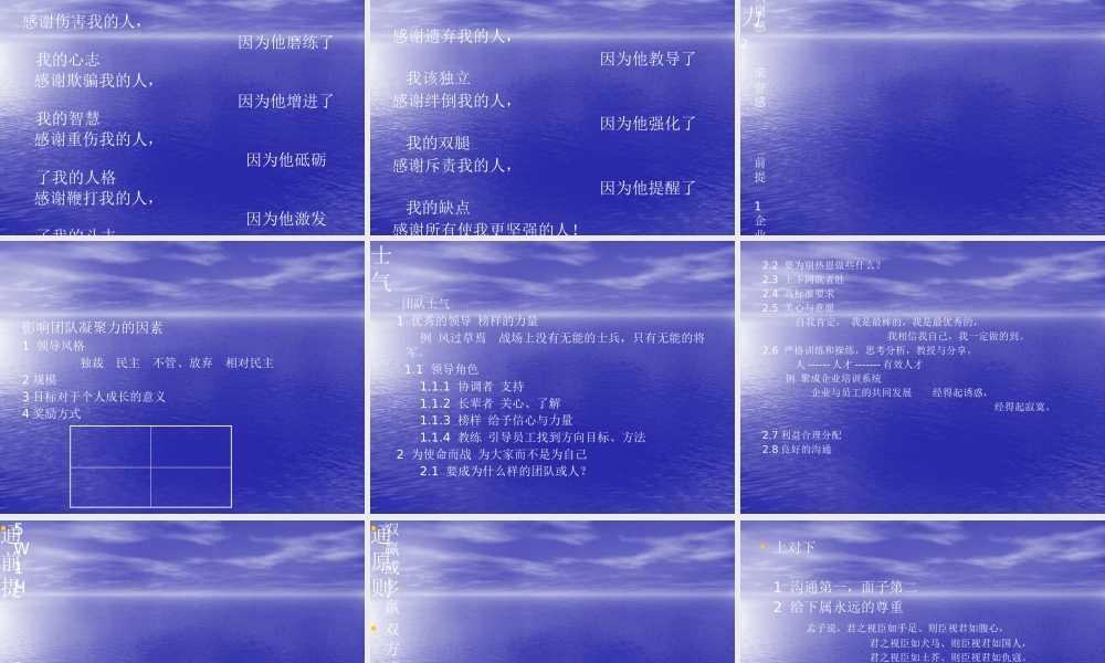 如何打造你的巅峰团队(PPT 页)