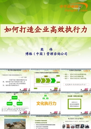 如何打造企业高效执行力(PPT 72页)