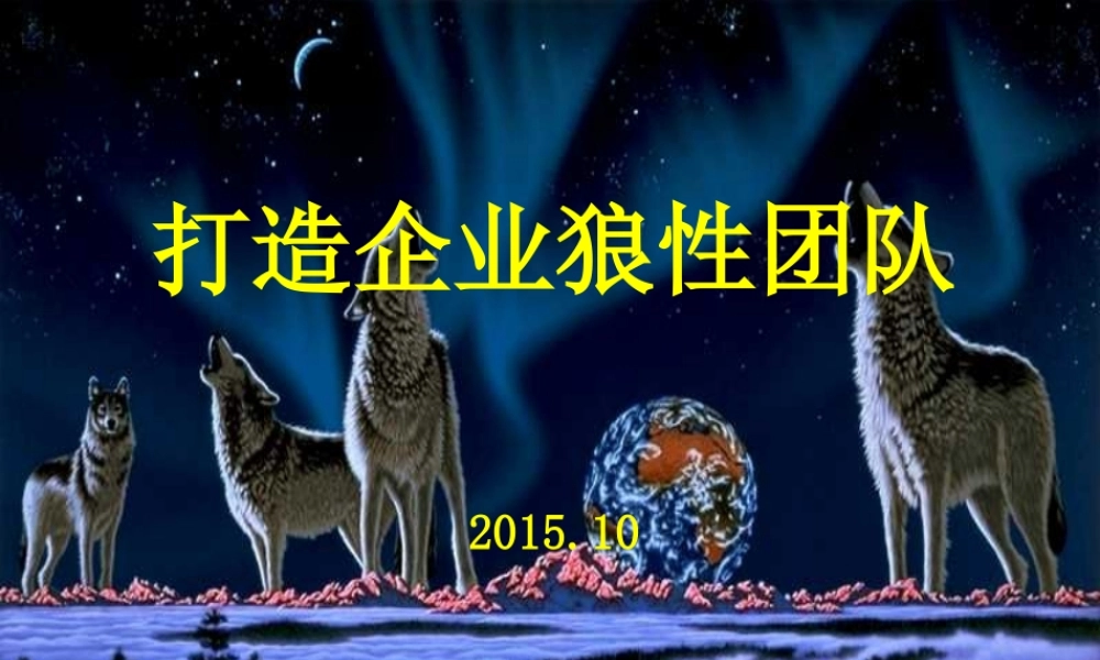 如何打造企业狼性团队(PPT 页)