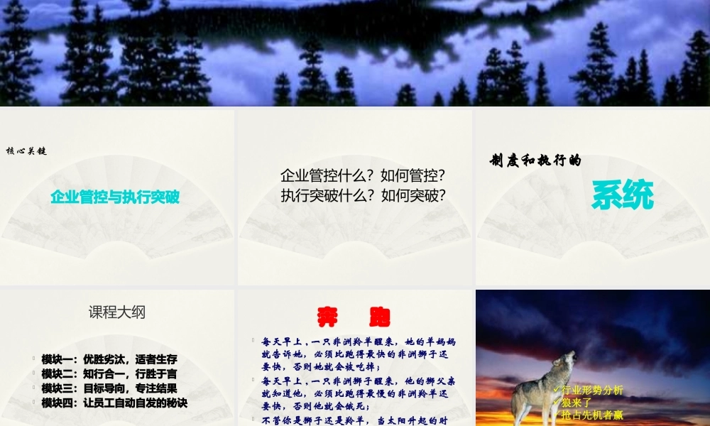 如何打造企业狼性团队(PPT 页)