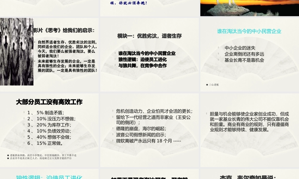 如何打造企业狼性团队(PPT 页)