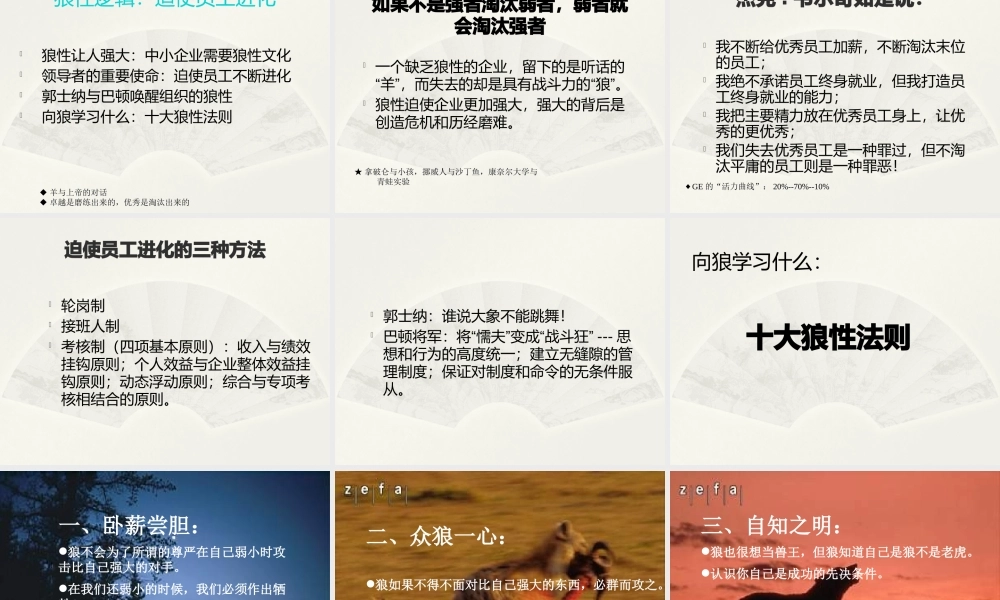 如何打造企业狼性团队(PPT 页)
