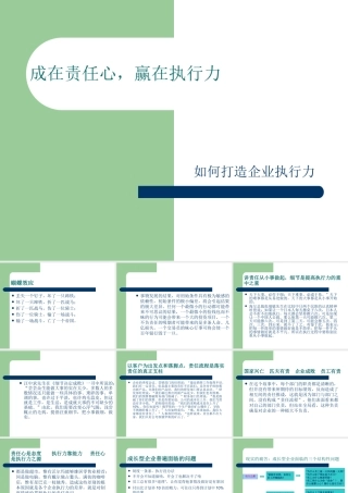 如何打造企业执行力(PPT 45页)