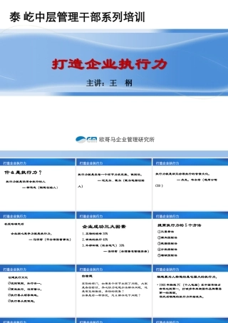 如何打造企业执行力(PPT 48页)