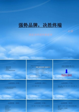 如何打造强势品牌与决胜终端