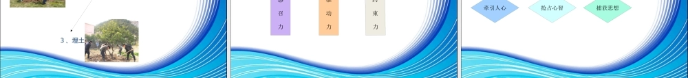 如何打造强有力执行力培训(山野村夫)
