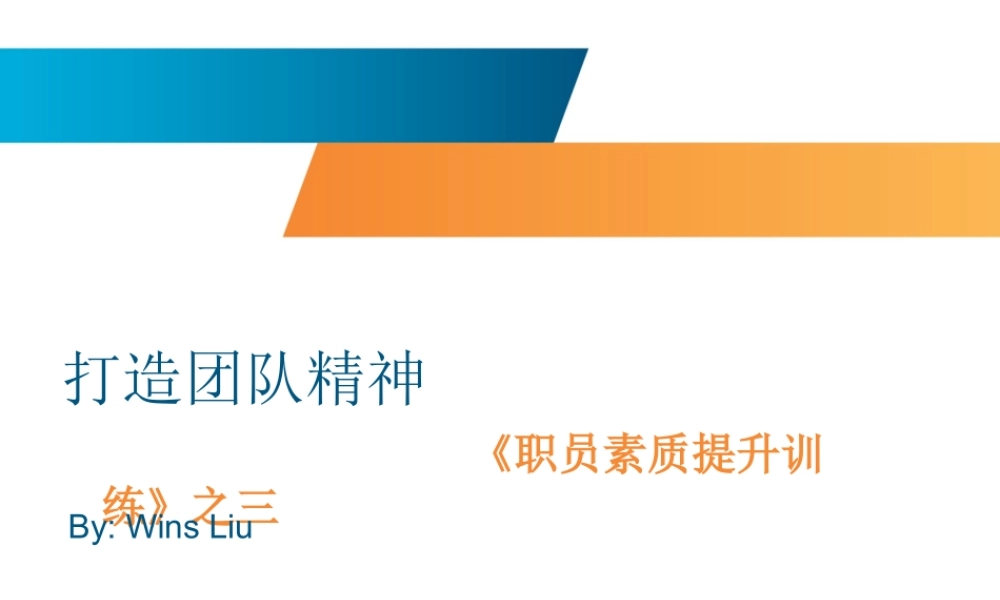 如何打造团队精神(PPT 页)