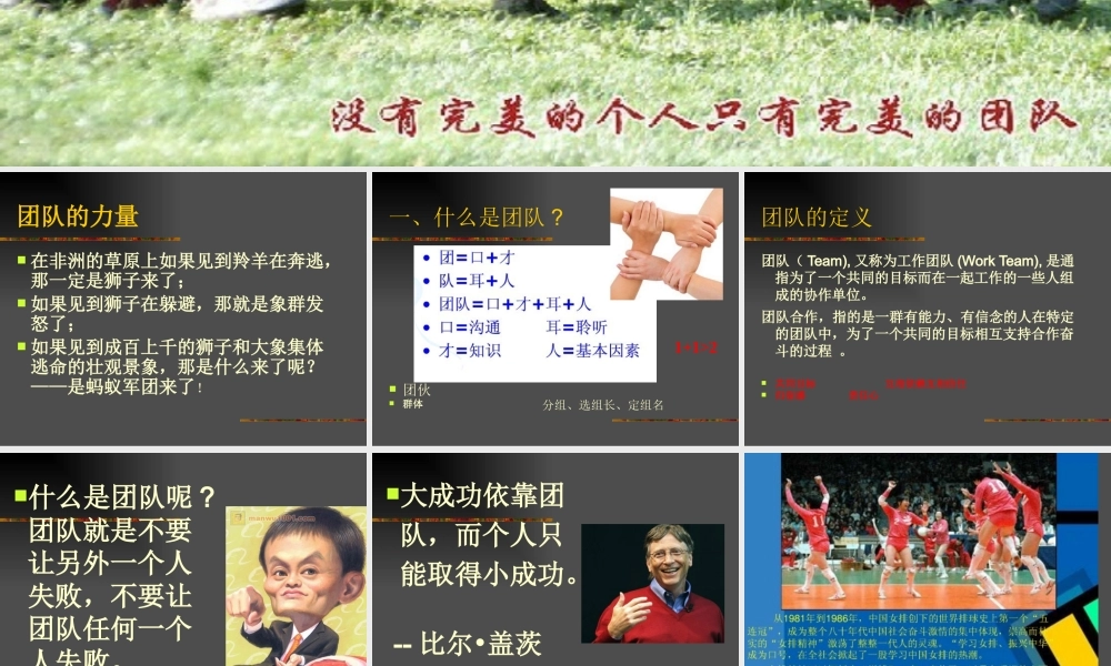 如何打造完美团队合作