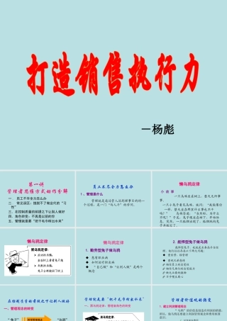 如何打造销售执行力