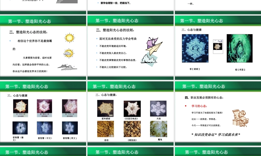 如何打造协作团队