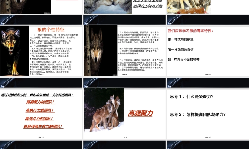 如何打造一个狼性团队