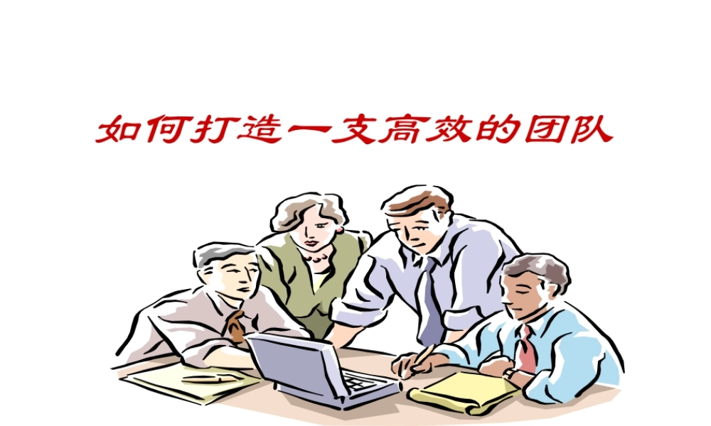 如何打造一支高效的团队(PPT 页)